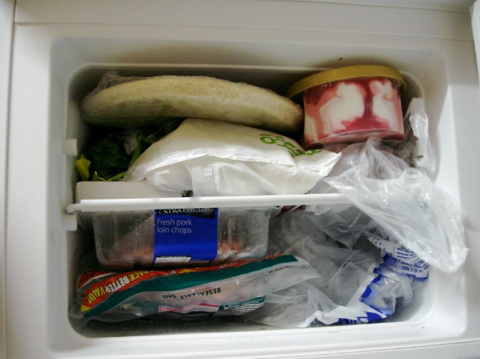 freezer-2